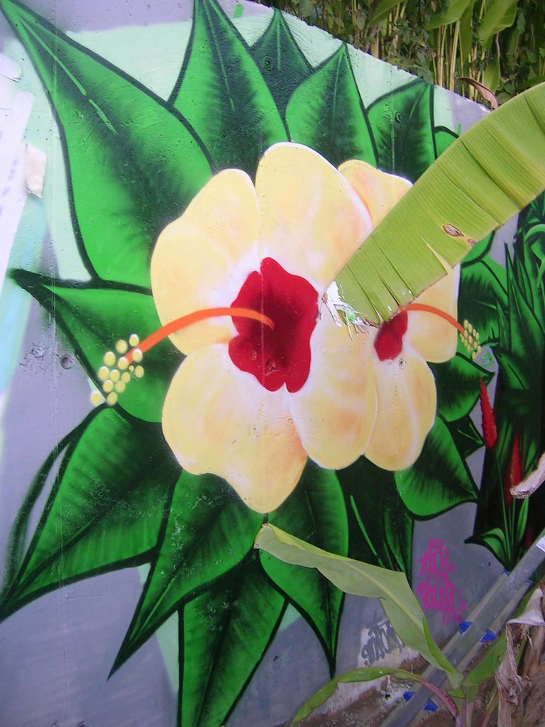 Outdoor Pool Decoration 50 Ideas In Photos Paintonline Info