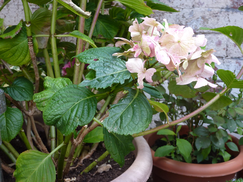 By using this site, you agree with their use. P1010323 | Ria Hill | Flickr