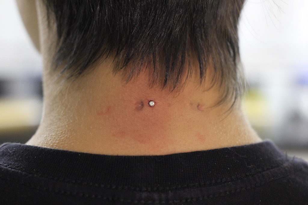 Body piercing e tatuagem Alargador 6mm Captive 2 4mm Omoko Tatuagem E Piercing Flickr