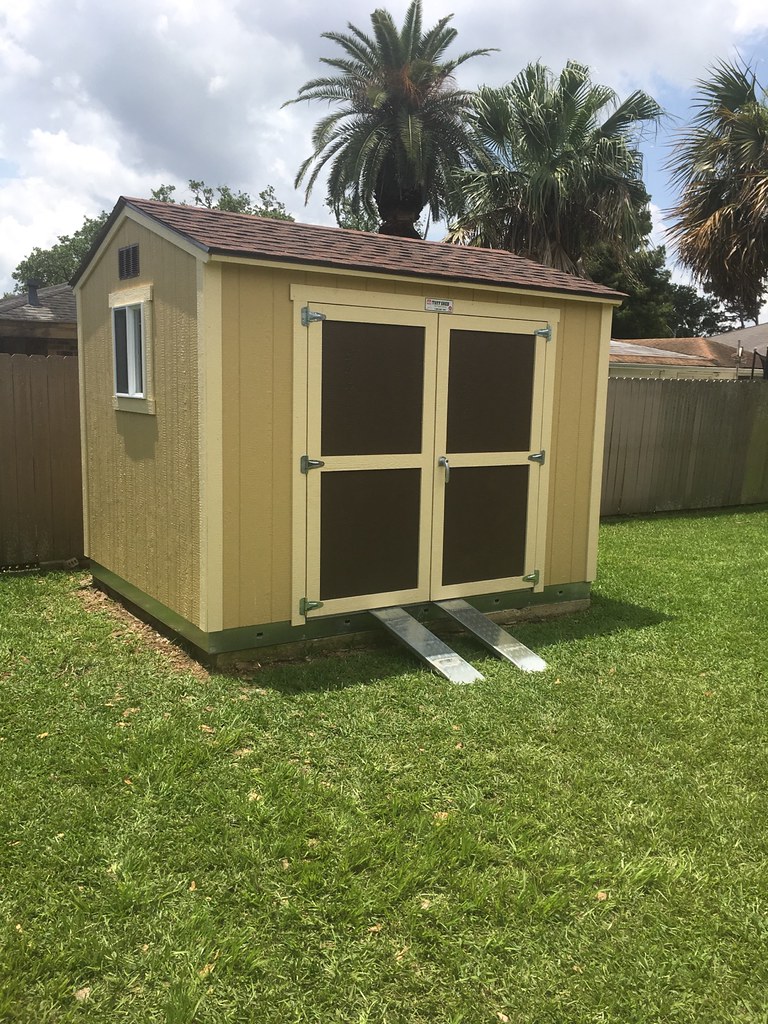 Image1