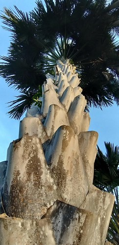 A Brief History Of Palm Trees In Southern California Kcet