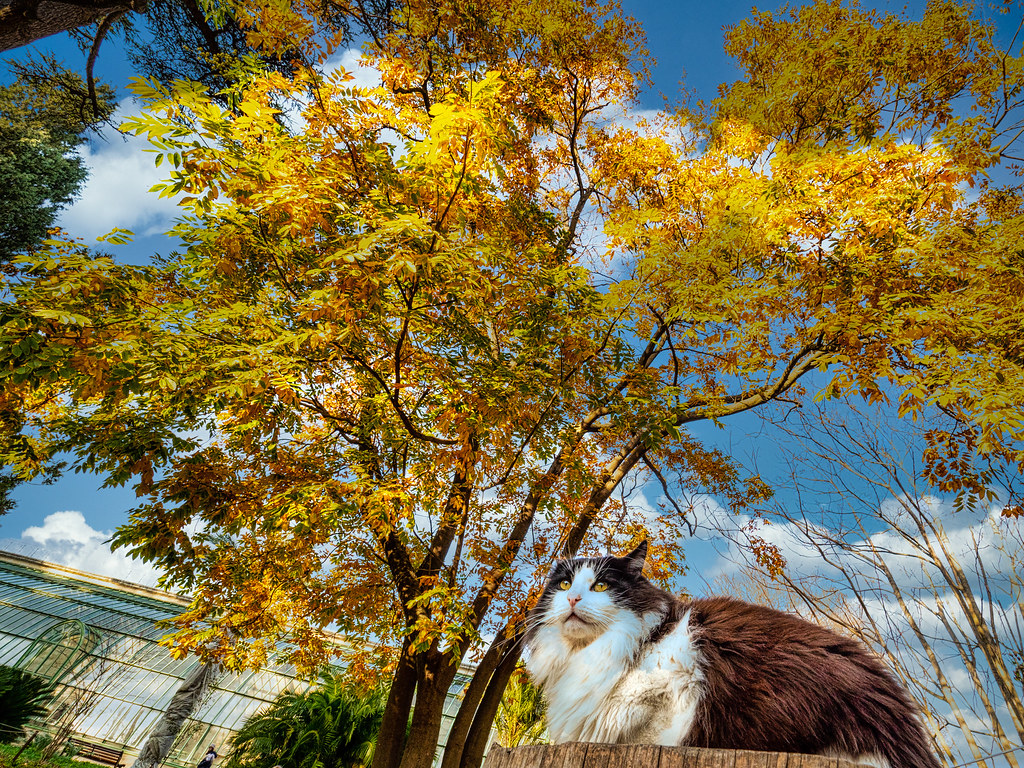 Apjlr Jardin Des Plantes