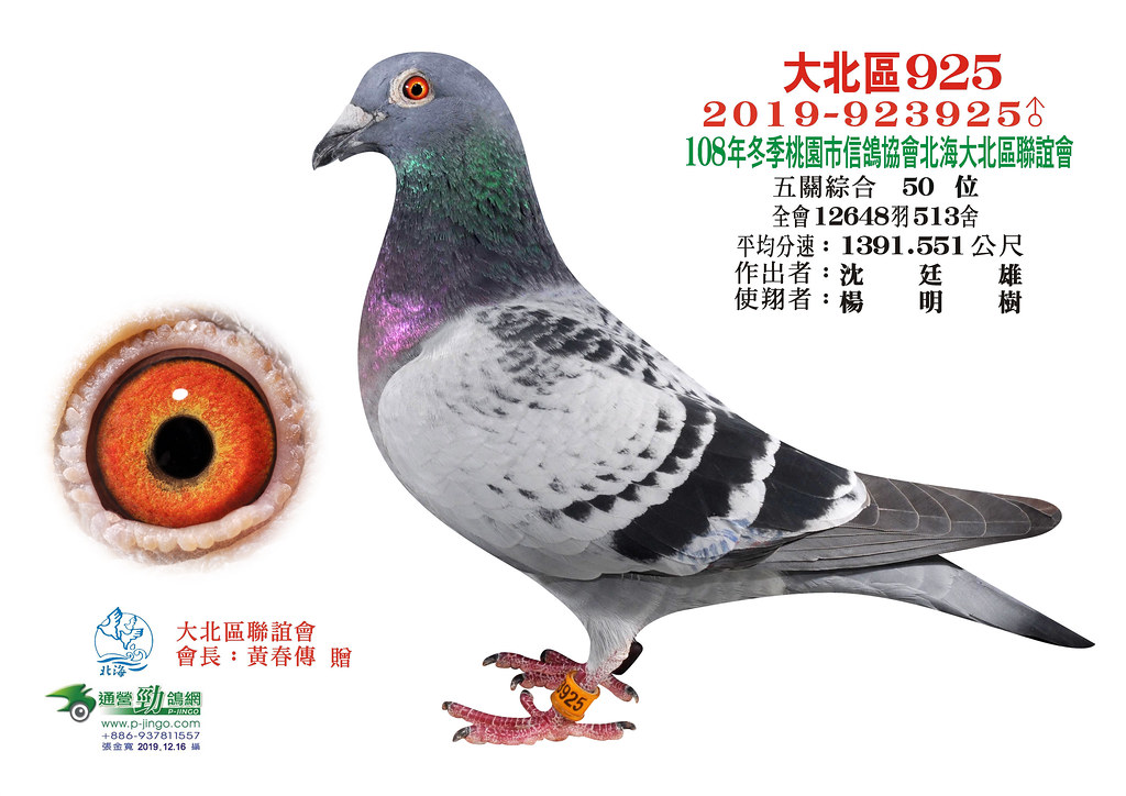 大北區聯誼會澳門社區義工聯合總會 Itha