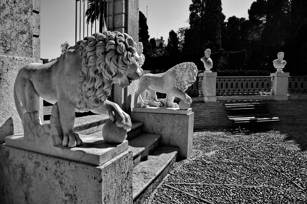 Sw Lion Statue In Tuileries Gardens Paris Page 956