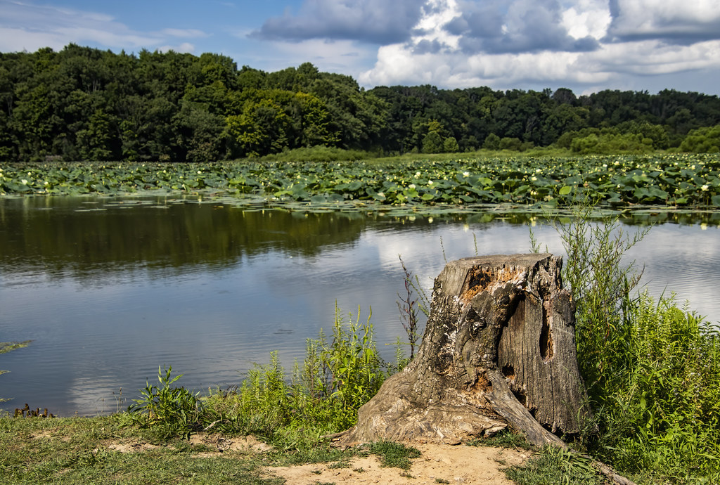 Cowan lake