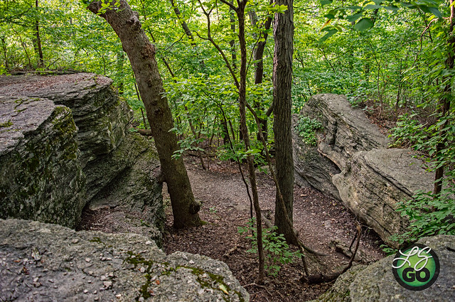 Burr Oak Woods Conservation Area