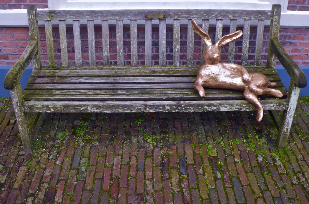 Hare Iris Le Rutte 2012 Museum Kranenburgh Bergen The Flickr