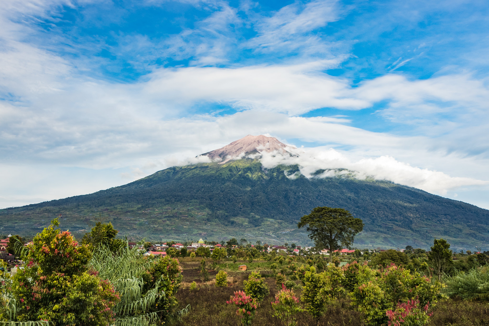 [Indonésie] – Sumatra – Gunung Kerinci
