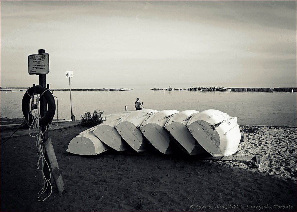 B+W Grauverlaufsfilter 702 – 77 Mm, 25%, MRC Vergütung, Für Landschaftsfotografie
