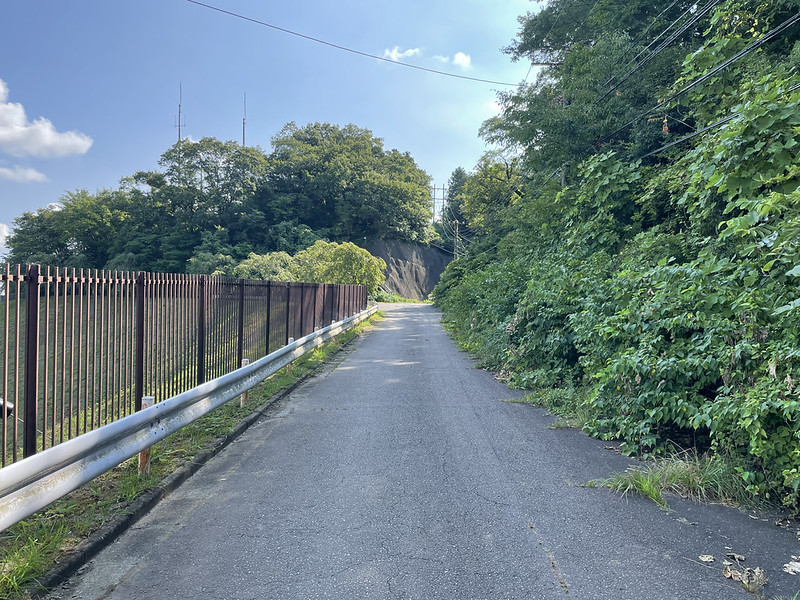 Hikes in Japan: The Mt. Kusato Trail (草戸山) – On Walkabout
