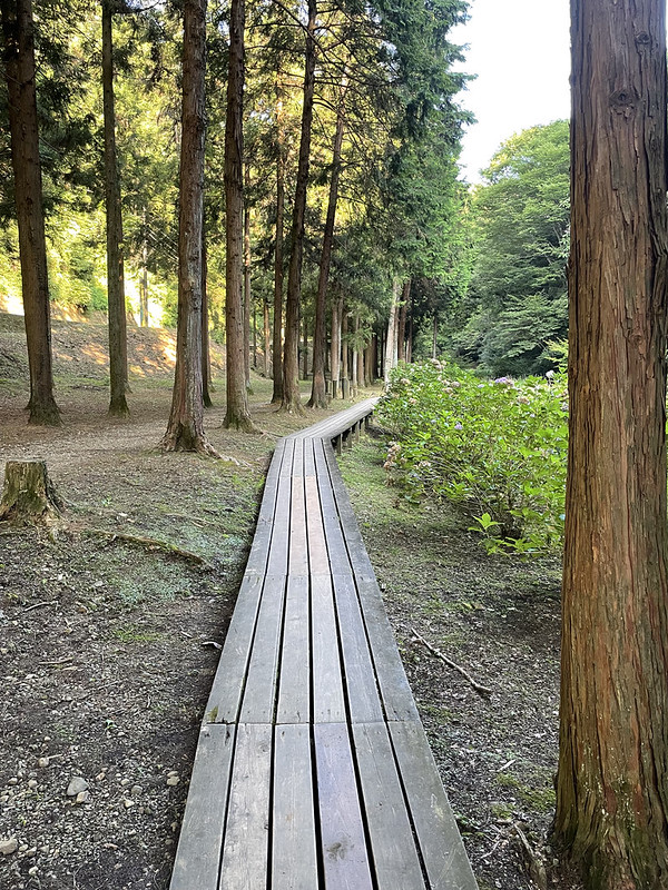 Hikes in Japan: The Mt. Kusato Trail (草戸山) – On Walkabout