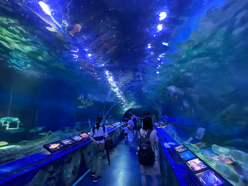 しながわ水族館に行きました（大森海岸） (たつをの changelog)