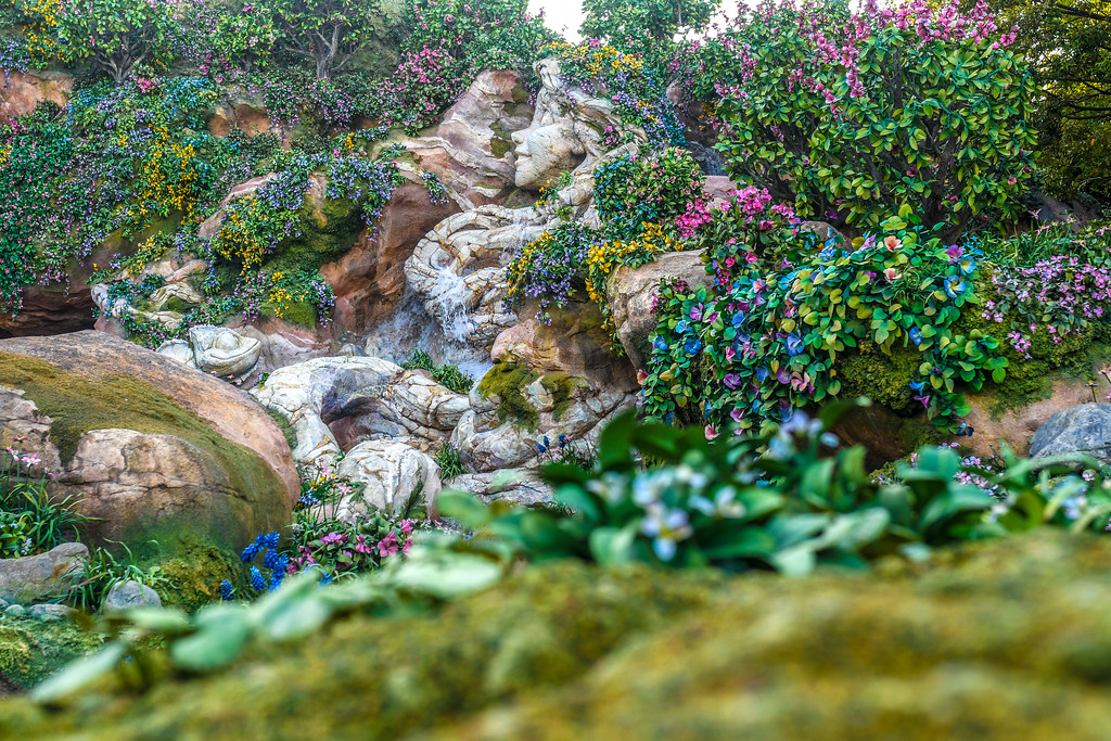 June 2024 Tokyo Disney Trip Report - Part 5 - Wandering In Disney
