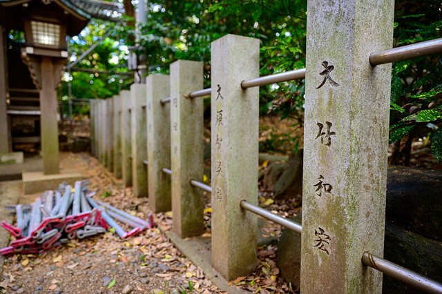 Shirasuka to Nagoya — photograph 17 of 28