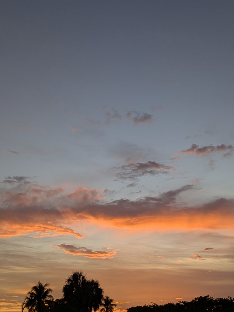 PXL_20250806_000642982