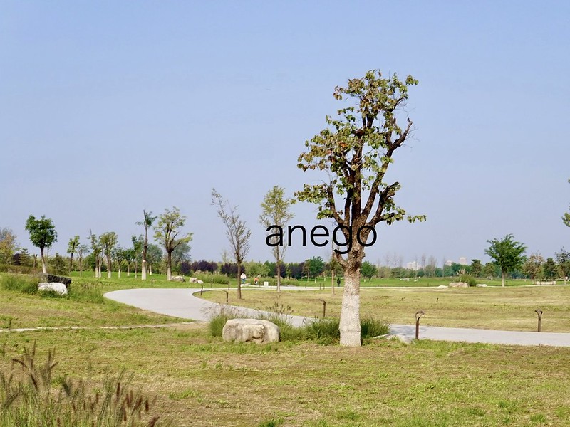 西安：蕭何が作った！前漢長安城未央宮遺跡 [世界遺産][2025年10月