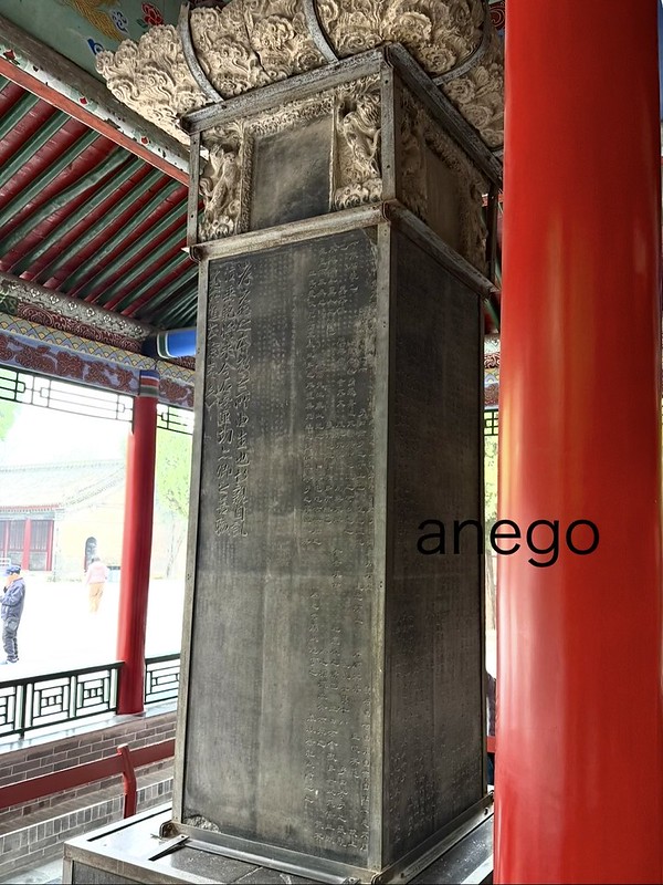 西安：西安碑林博物館はじっくり見るべし。昭陵六駿見られるよ！ [2025
