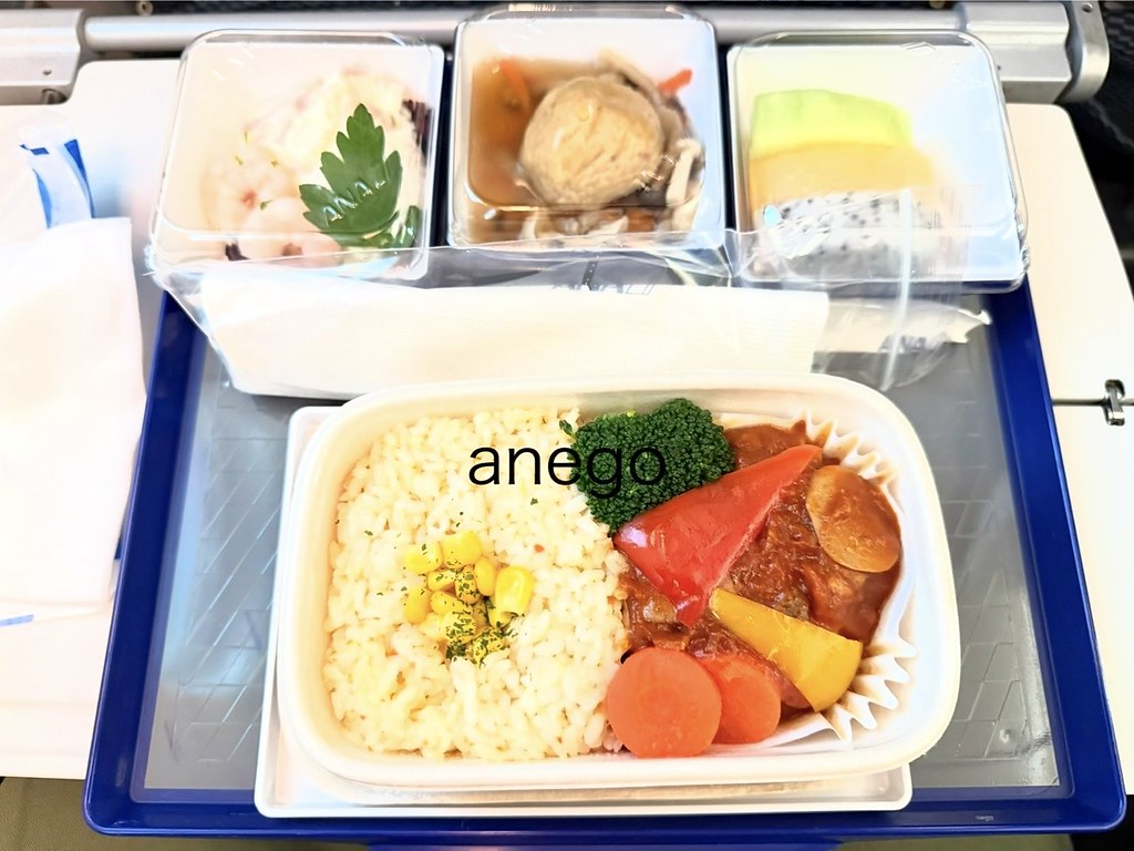 NH970 上海（虹橋）ー羽田便 [2025年12月][2016年4月] | 姉御の一人旅