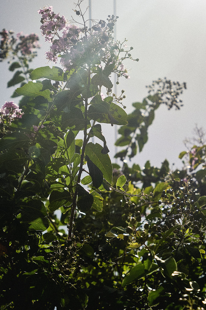 AG2025_1066394a