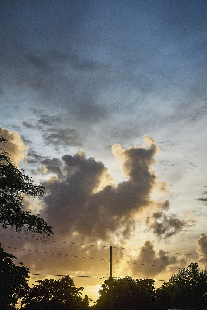 AG2026_1122850a