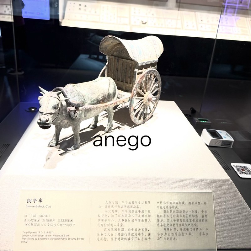 深圳：深圳博物館（古代芸術館） [2026年2月 深圳旅行] | 姉御の一人旅