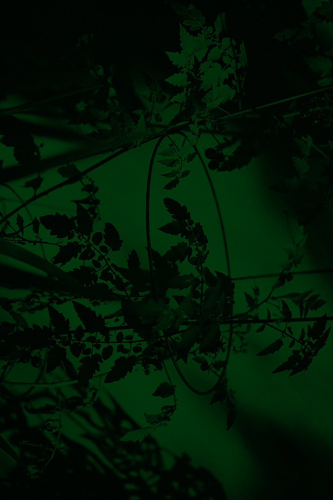 AG2026_1530292a2