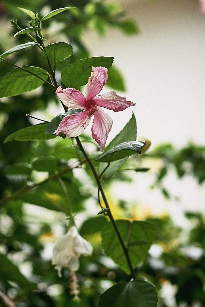 AG2026_1530672a