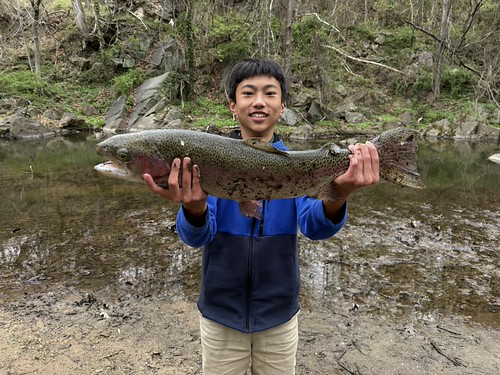 Maryland Fishing Report April 2026: Spring Fishing Tips & Hotspots (2026)