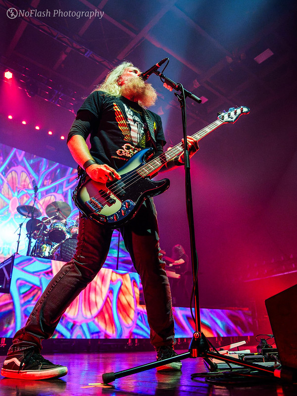 Mastodon