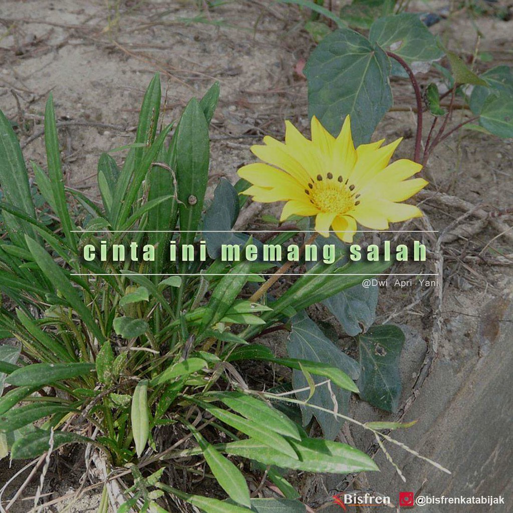 Gratis Unduh Gambar 40 Kata-Kata Keren Buat Status Kekinian Bikin Medsosmu Menarik Terkeren oleh Lampunghits.com