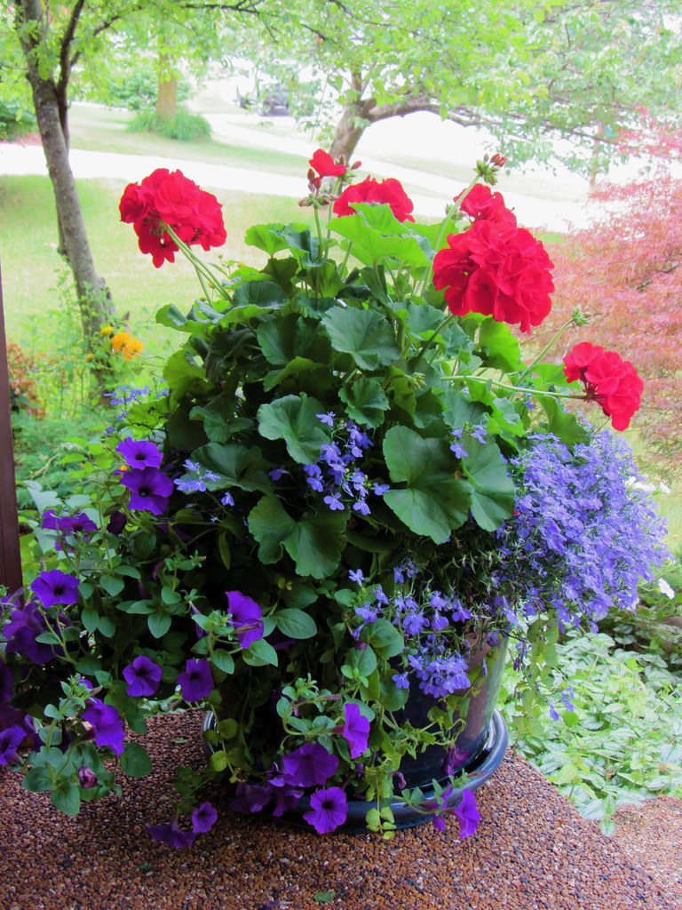 Vibrant flowers adorning a front porch