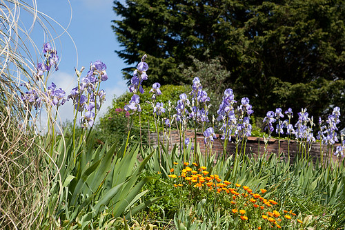 The old ship hotel padstow photos •; Hotel Padstow | Old Ship Hotel Padstow | Old Ship Hotel