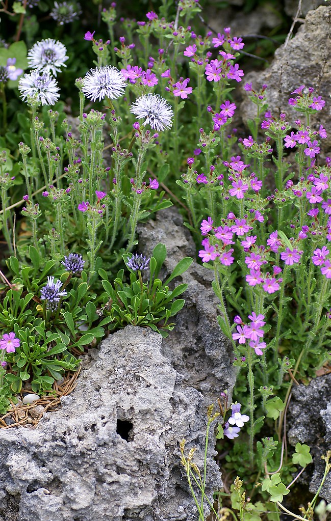 Botanischer Garten Mainz Herbst Bild Von Botanischer Garten Mainz Tripadvisor