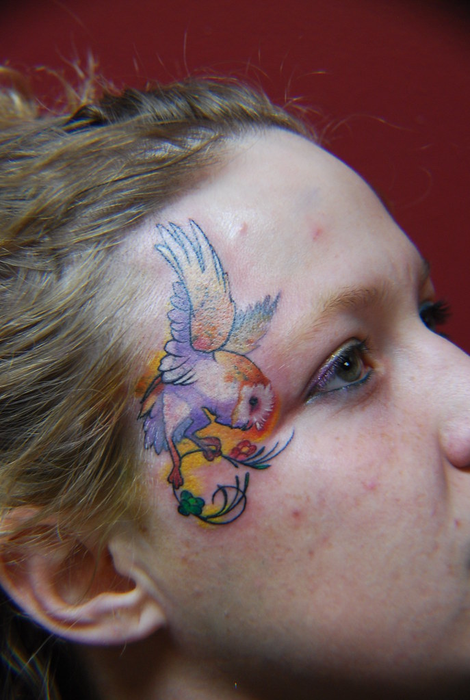 Face Owl | Tattoo, Intenze Inks Envy Needles 3X4" | James Gossling | Flickr 1023_x_687_jpg