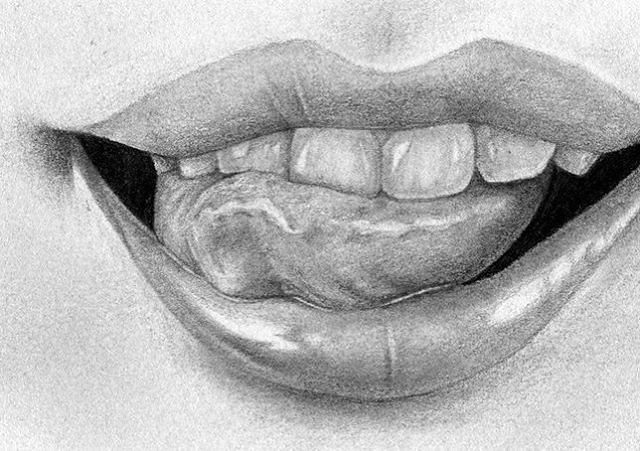 Big Cat Puma Polygonal Portrait Stock Illustration Illustration Of Fauna Mammal 91698762