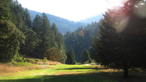 Rogue river feud is one of zane grey's least known novels. Zane Grey Cabin on the Rogue River | The Rogue River is