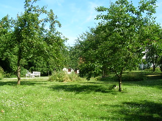 My parents' garden