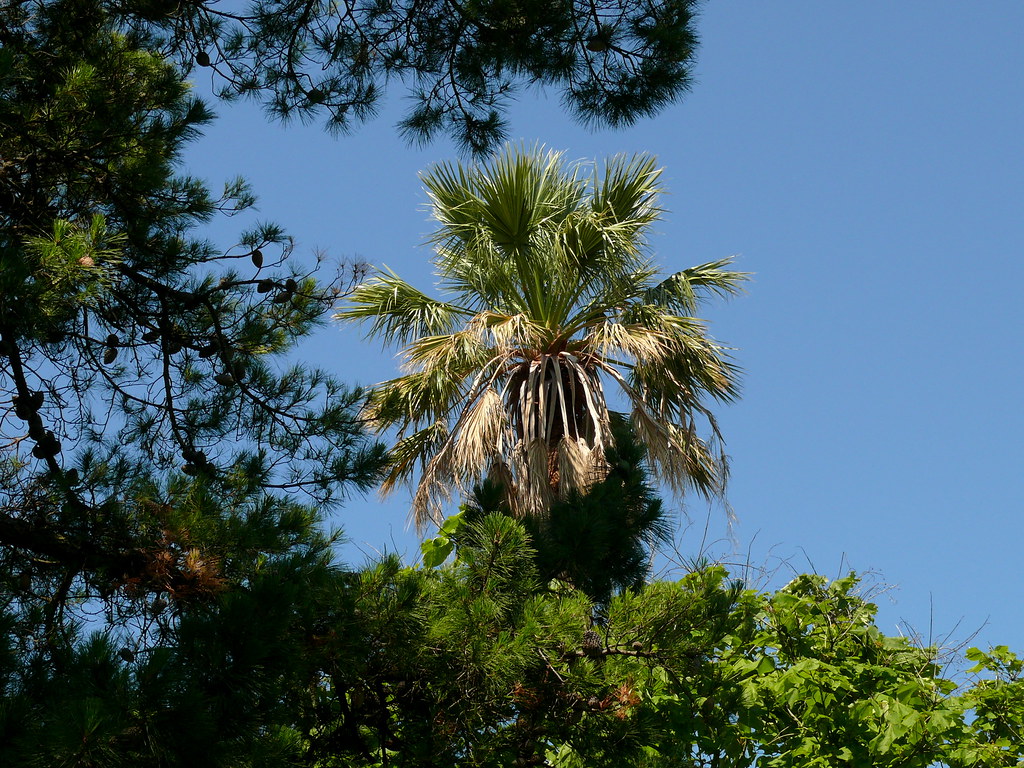 Villa Noailles Wikipedia