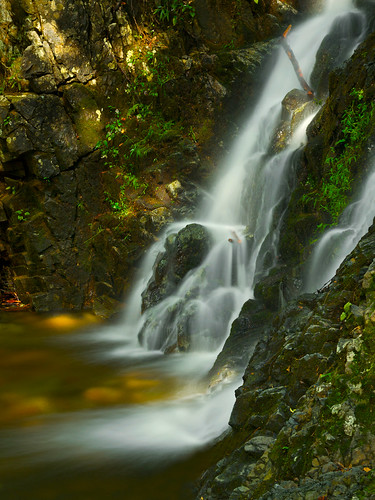 Elevation of forest road, forest rd, monroe, ny, usa