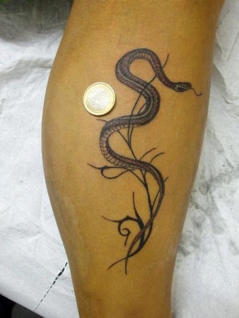 Tatuaggio-Serpente | Studio Tattoo Roma The Japanese Arts Di… | Mr. Fax | Flickr 450_x_338_jpg