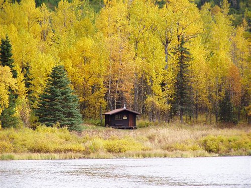 Along the way, linger to fish . Swan Lake Cabin | Located on Swan Lake along Resurrection