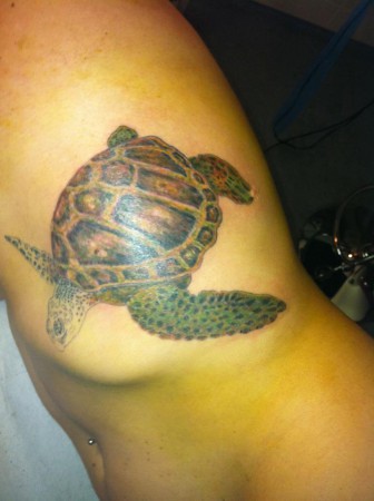 Tatuaggio-Tartaruga | Studio Tattoo Roma The Japanese Arts D… | Mr. Fax | Flickr 450_x_336_jpg