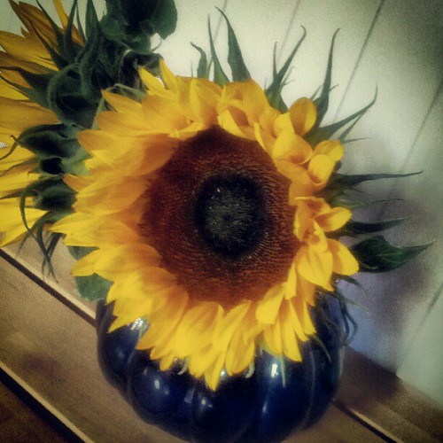 Infento ermöglicht es familien, wirklich fahrbare fahrzeuge gemeinsam zu bauen. Sie macht noch zu | Bernd Baltz | Flickr