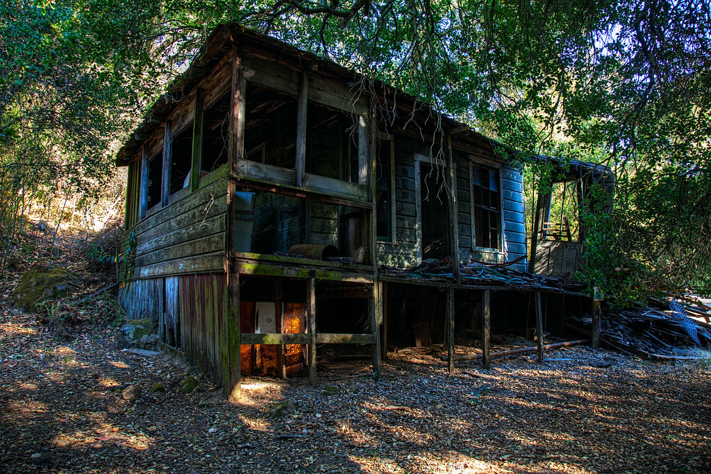 Forest cabin surrounded by tall trees and natural beauty.