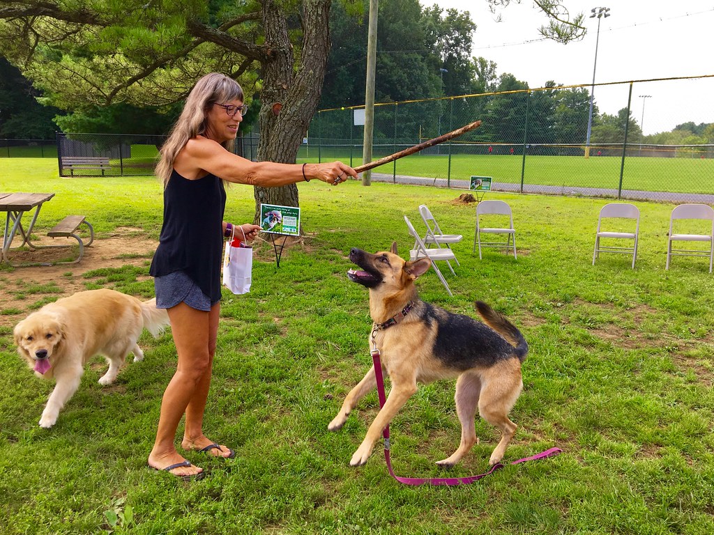 Olney manor dog park puppy playground