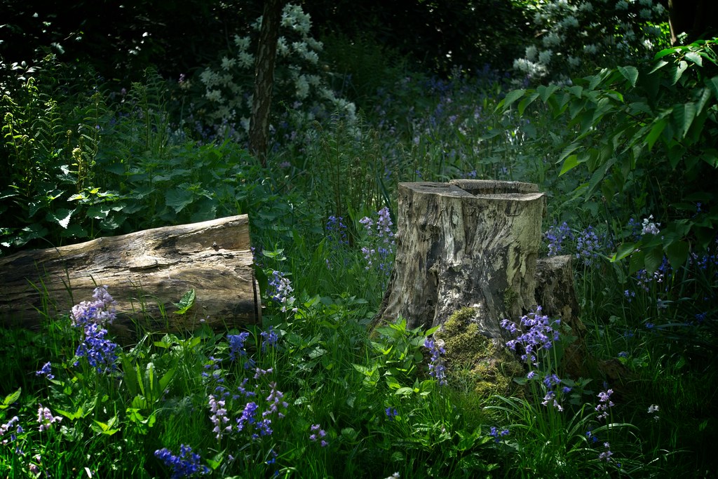 Baumstumpf Im Garten Gestalten Idee Fr Einen Stehengebliebenen Baumstamm Garten Gestalten Ideen Garten Gestalten Baumstamm Garten