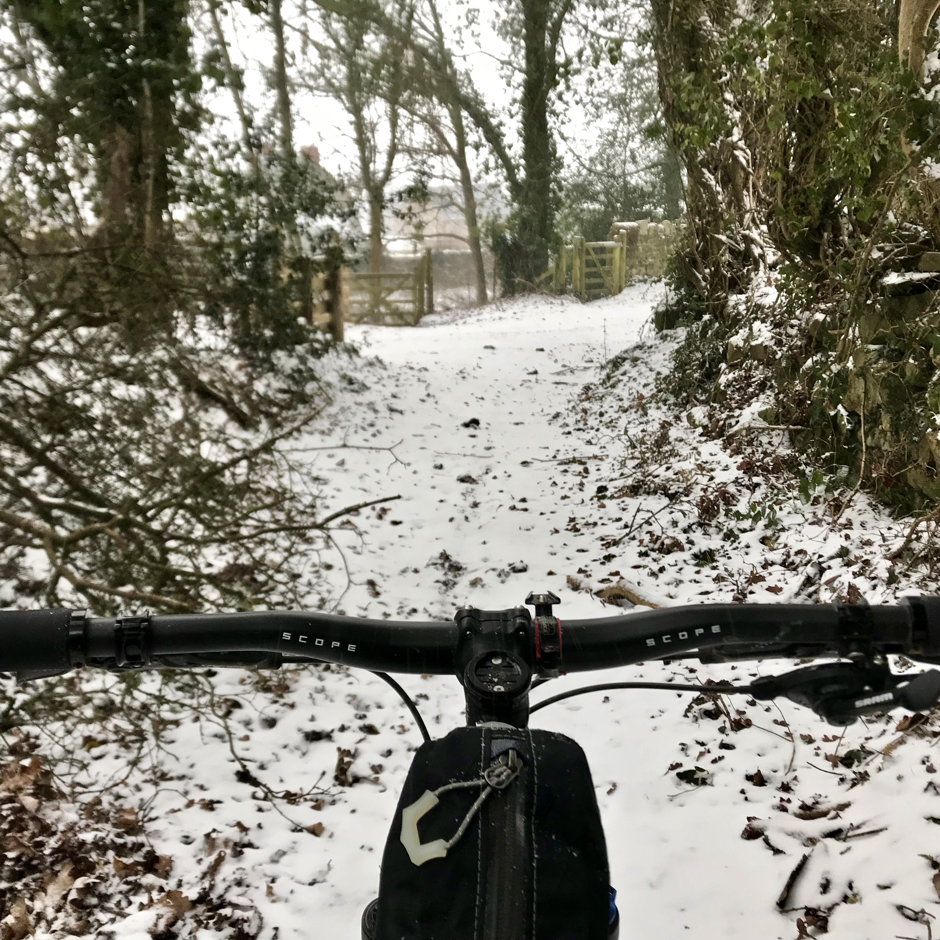 A familiar trail, but looking very different...