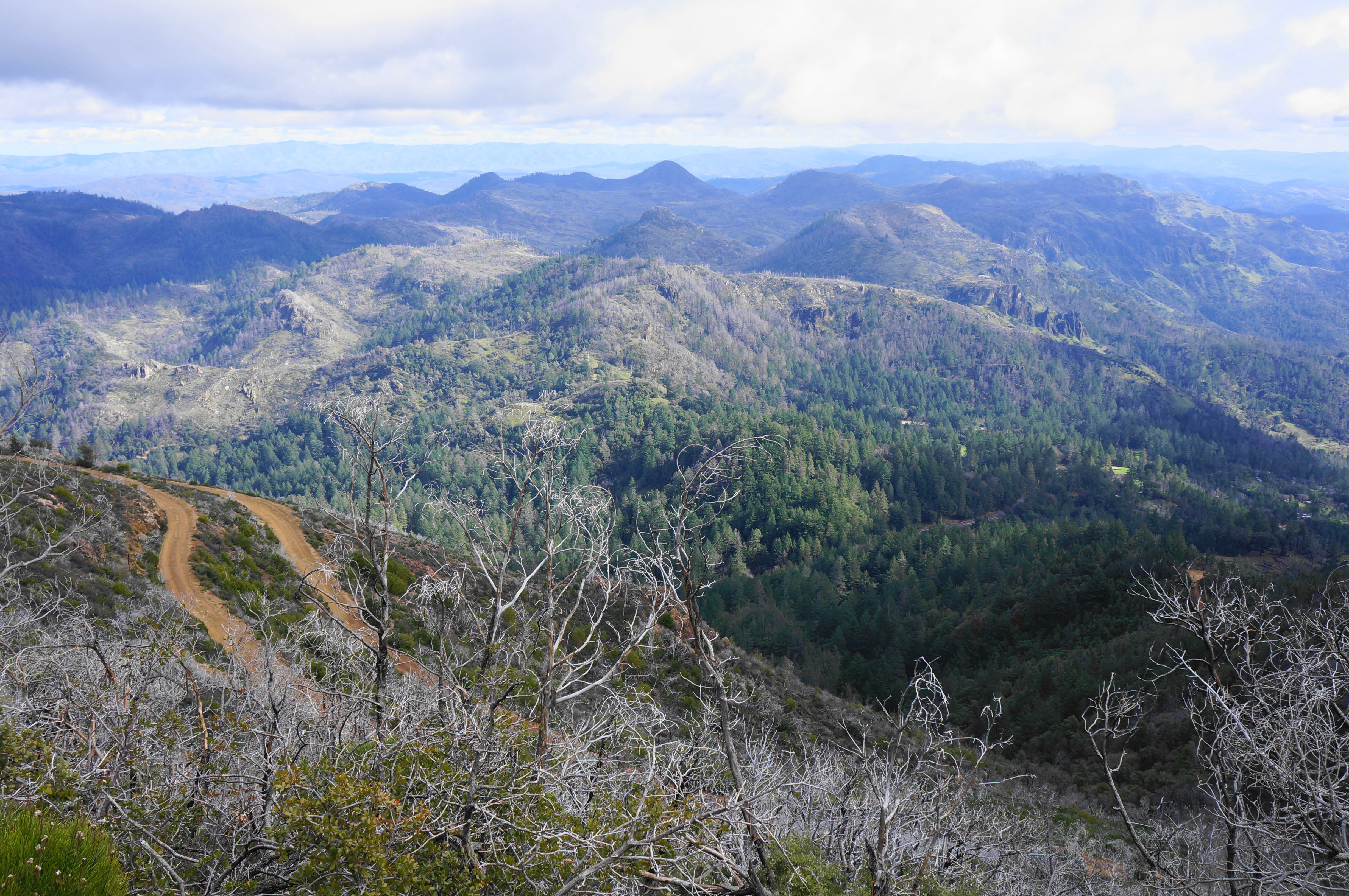 Mount Saint Helena (Robert Louis Stevenson State Park, CA) – Live