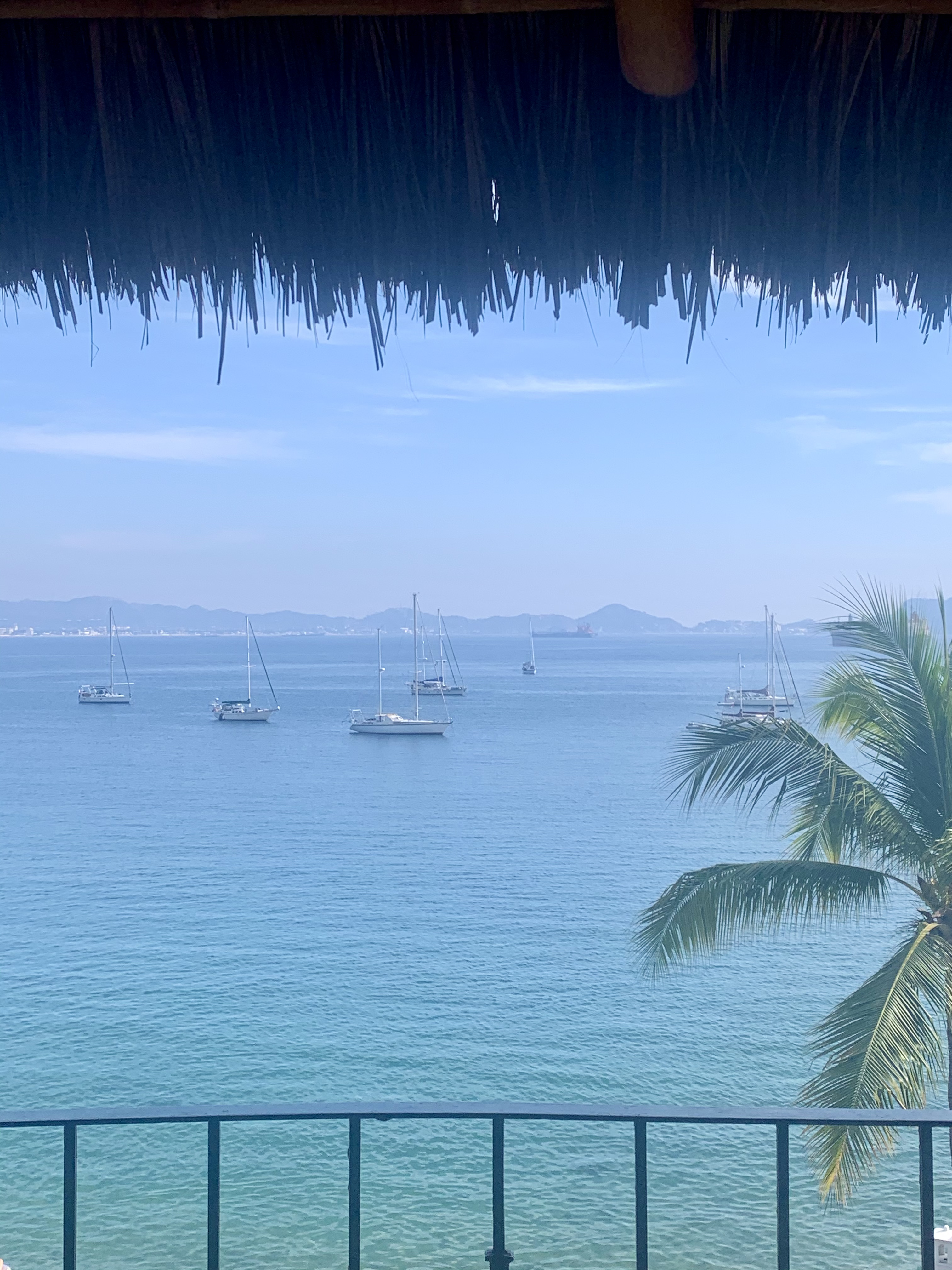 From the restaurant to the water...good wifi and margaritas.