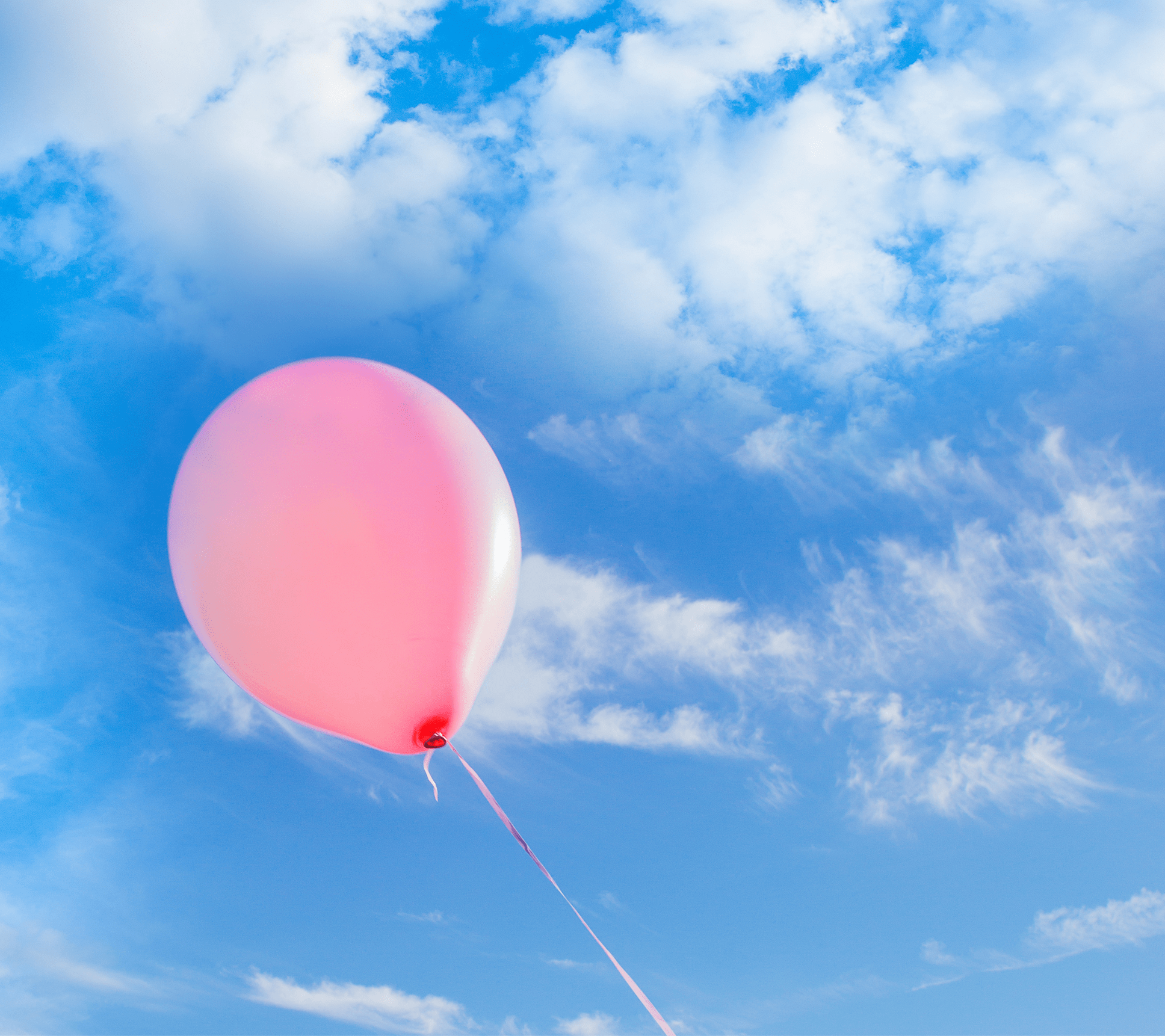 Joy to Life Foundation: Re-Committing To Our Roots